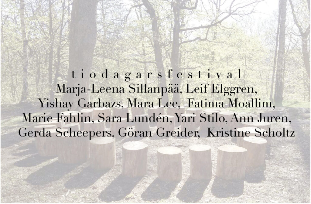 tiodagarsfestival pic