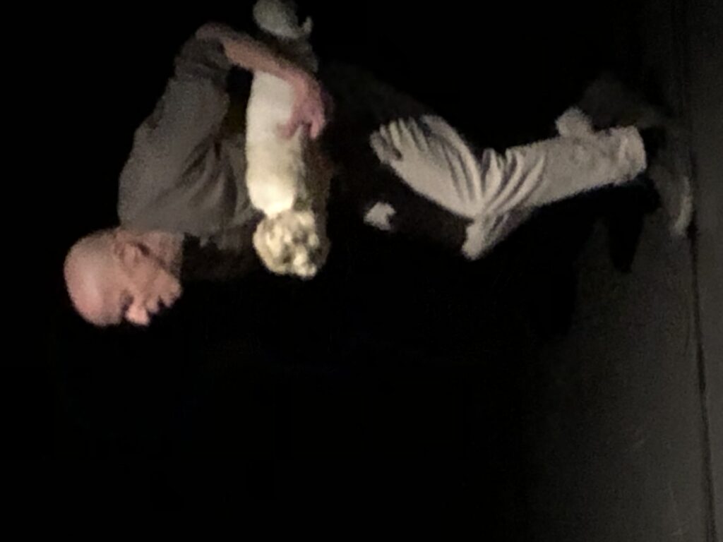 LittleIdiot