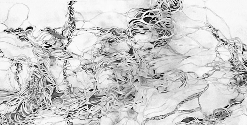 Excavation Series I and II