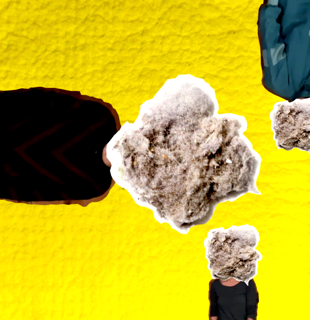 Dust Bunny (Unworking Title) WELD