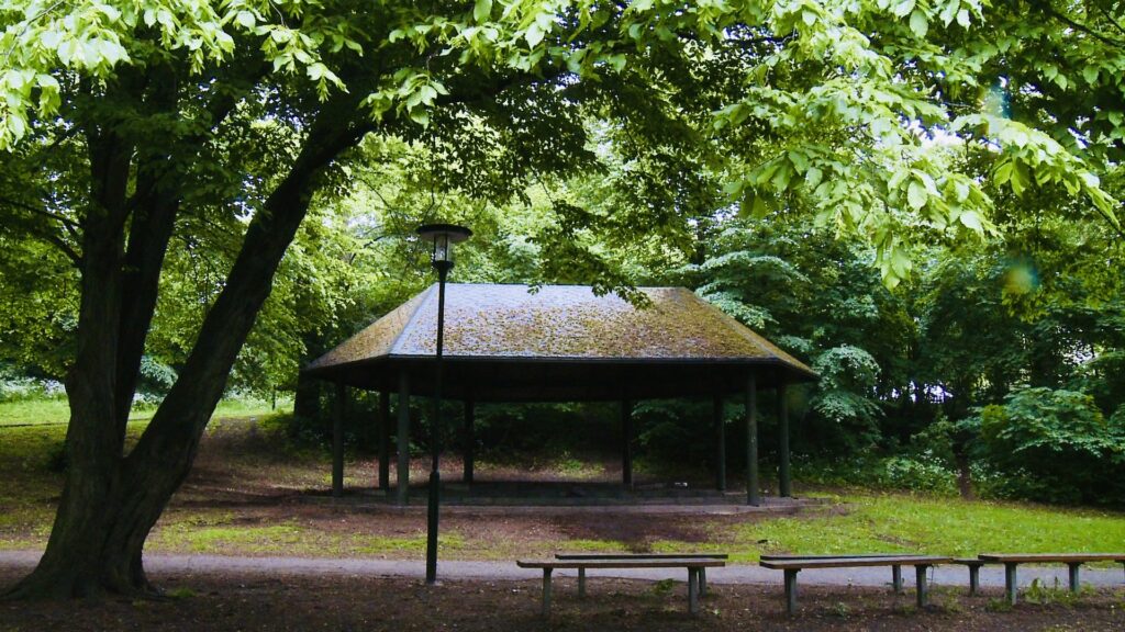In the park press