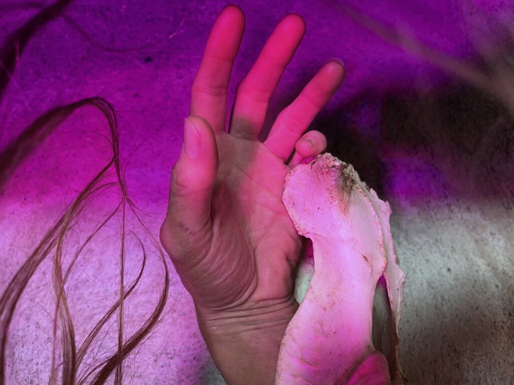 image0