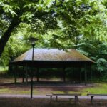 Aug 31. In the park-four choreographies by the pavilion in Tanto
